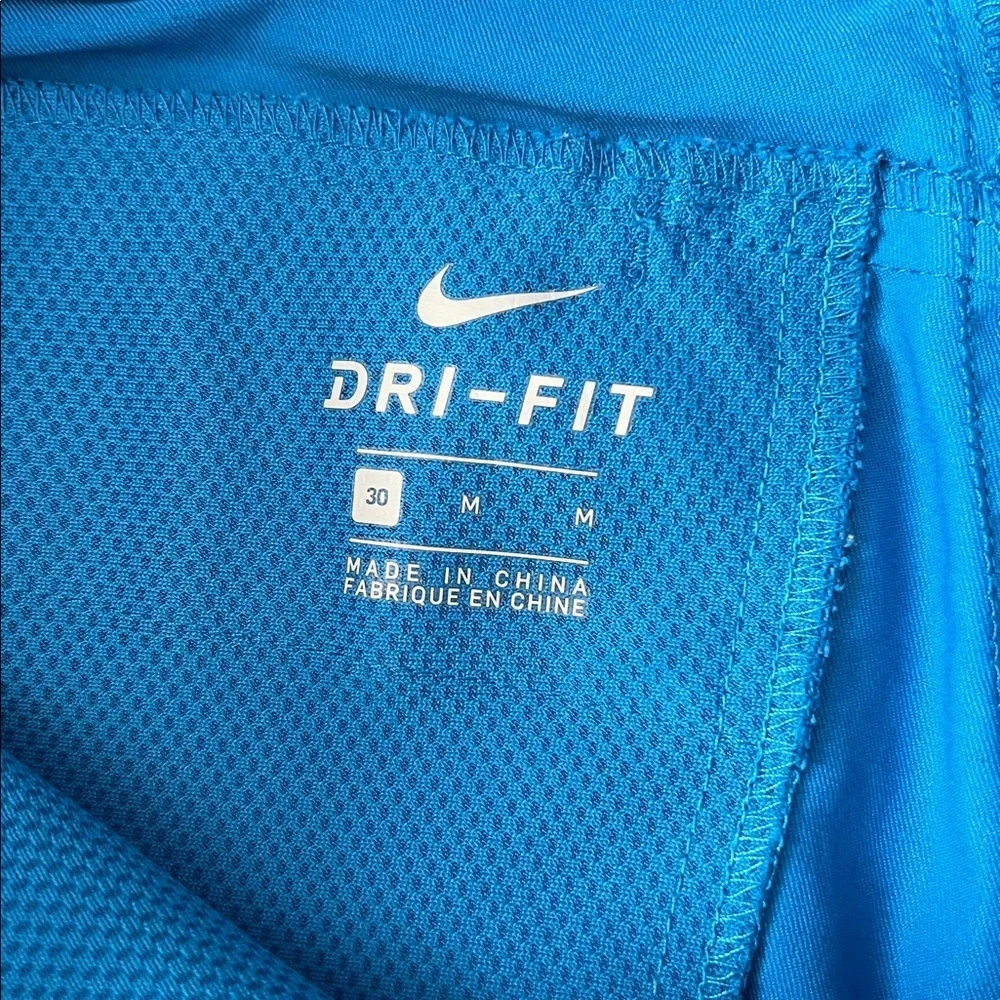 Nike Flex Golf/Casual Shorts Blue Stripe Size 30